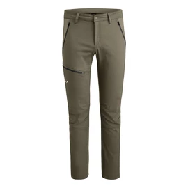 Pantalon pour homme Salewa FANES CO/DST M PNT