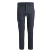 Pantalon pour homme Salewa  FANES CO/DST M PNT 2X