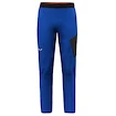 Pantalon pour homme Salewa  Pedroc 2 DST M Light Pants Electric L