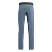 Pantalon pour homme Salewa  Pedroc 3 DST Flint Stone