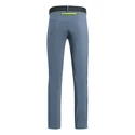 Pantalon pour homme Salewa  Pedroc 3 DST Flint Stone