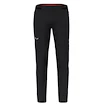 Pantalon pour homme Salewa  Pedroc 4 DST M Reg Pants  XL