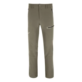 Pantalon pour homme Salewa TERMINAL DST M PNT