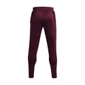 Pantalons de survêtement pour homme Under Armour  Terry Pant Red