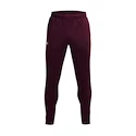 Pantalons de survêtement pour homme Under Armour  Terry Pant Red XL