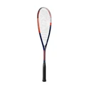 Raquette de squash Dunlop  TRISTORM PRO