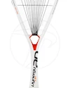 Raquette de squash Tecnifibre  Dynergy AP 130