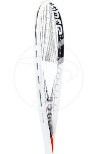 Raquette de squash Tecnifibre  Dynergy AP 130