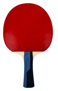 Raquette de tennis de table Butterfly  Boll Sapphire