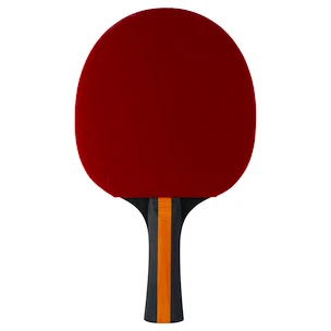 Raquette de tennis de table Stiga  Vision