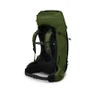 Sac à dos pour homme OSPREY Aether 65 II garlic mustard green