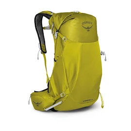 Sac à dos pour homme OSPREY DOWNBURST 26 MENS babylonica yellow