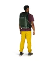 Sac à dos pour homme OSPREY TALON 22 green canopy/pine leaf