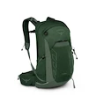 Sac à dos pour homme OSPREY TALON 22 green canopy/pine leaf