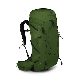 Sac à dos pour homme OSPREY TALON 33 green belt/black