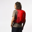 Sac à dos Salomon  Trailblazer 20 Red Dahlia/High Risk Red