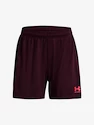 Short pour femme Under Armour  W's Ch. Knit Short-MRN