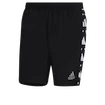 Short pour homme adidas Own The Run Celebration Black