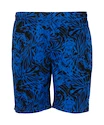 Short pour homme FZ Forza  Luton M Shorts Olympian Blue