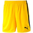 Short pour homme Puma  Pitch