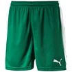 Short pour homme Puma  Pitch