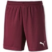 Short pour homme Puma  Pitch