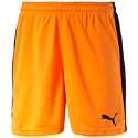 Short pour homme Puma  Pitch