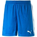 Short pour homme Puma  Pitch