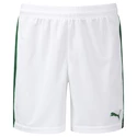 Short pour homme Puma  Pitch