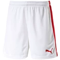 Short pour homme Puma  Pitch