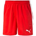 Short pour homme Puma  Pitch