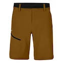 Short pour homme Salewa  Puez 3 DST M Shorts Golden Brown L