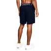 Short pour homme Under Armour