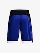 Short pour homme Under Armour  BASELINE 10'' SHORT-BLU