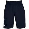 Short pour homme Under Armour  COTTON BIG LOGO SHORTS blue