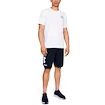 Short pour homme Under Armour  COTTON BIG LOGO SHORTS blue