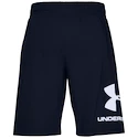 Short pour homme Under Armour  COTTON BIG LOGO SHORTS blue