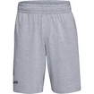 Short pour homme Under Armour  COTTON BIG LOGO SHORTS gray