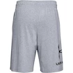 Short pour homme Under Armour  COTTON BIG LOGO SHORTS gray