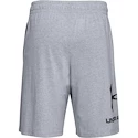 Short pour homme Under Armour  COTTON BIG LOGO SHORTS gray