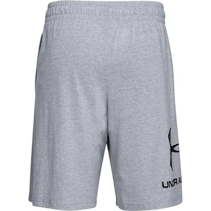 Short pour homme Under Armour  COTTON BIG LOGO SHORTS gray XXL