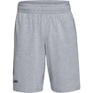 Short pour homme Under Armour  COTTON BIG LOGO SHORTS gray XXL