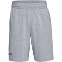 Short pour homme Under Armour  COTTON BIG LOGO SHORTS gray XXL