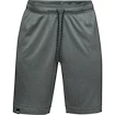 Short pour homme Under Armour  Lighter Longer Short S