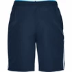 Short pour homme Under Armour  Qualifier WG Perf Short