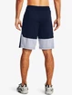 Short pour homme Under Armour  Raid 2.0 Shorts-NVY