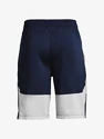 Short pour homme Under Armour  Raid 2.0 Shorts-NVY