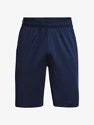 Short pour homme Under Armour  Raid 2.0 Shorts-NVY