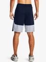 Short pour homme Under Armour  Raid 2.0 Shorts-NVY