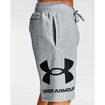 Short pour homme Under Armour  Rival FLC Big Logo Shorts gray